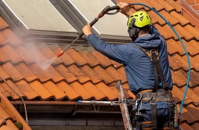 Démoussage et hydrofuge de toiture à Foye-Monjault